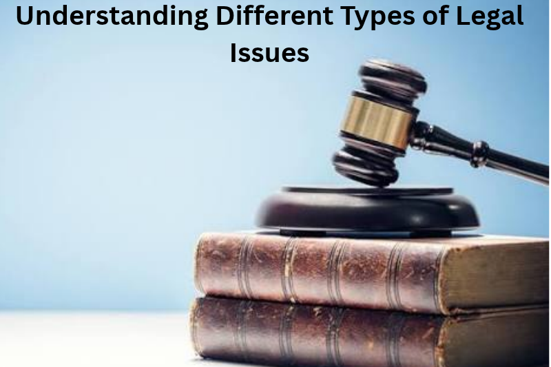 Understanding Different Types of Legal Issues