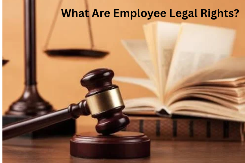 What Are Employee Legal Rights?