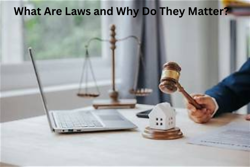 What Are Laws and Why Do They Matter