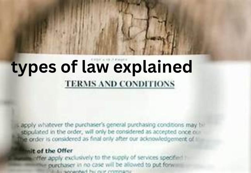 types of law explained